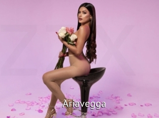 Ariavegga